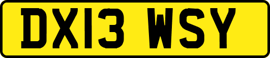 DX13WSY