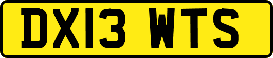 DX13WTS