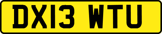 DX13WTU