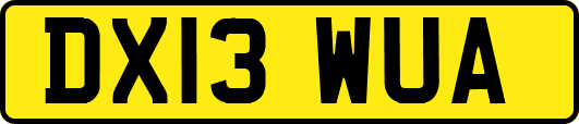 DX13WUA