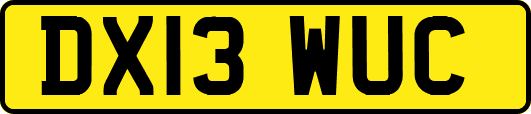 DX13WUC