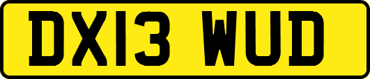 DX13WUD