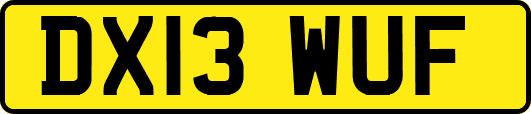 DX13WUF