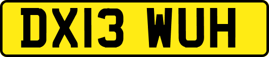 DX13WUH