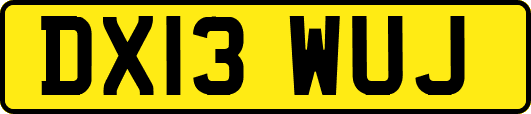 DX13WUJ