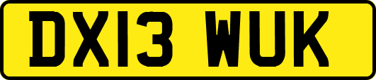 DX13WUK