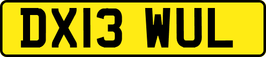 DX13WUL