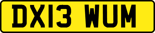 DX13WUM