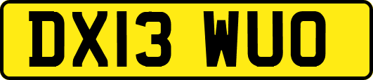 DX13WUO