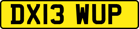 DX13WUP