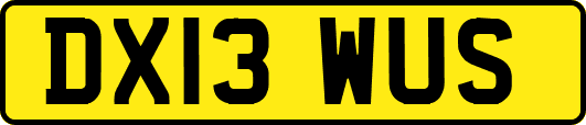 DX13WUS