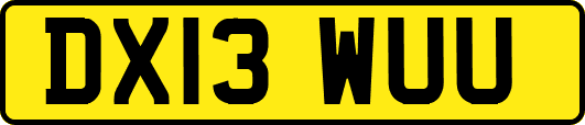DX13WUU