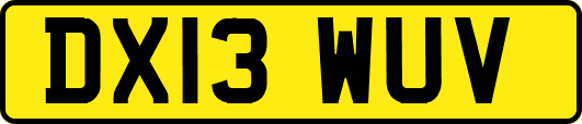 DX13WUV