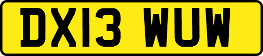 DX13WUW