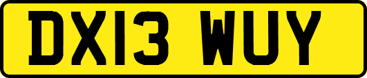 DX13WUY