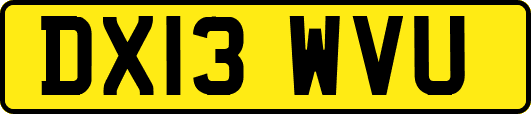 DX13WVU