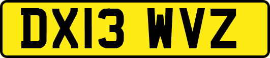 DX13WVZ