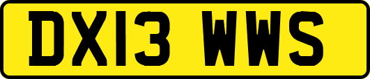 DX13WWS