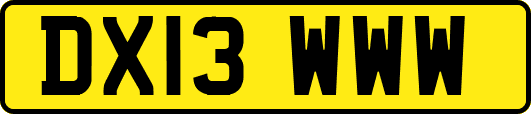 DX13WWW