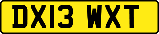 DX13WXT