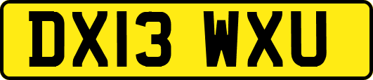 DX13WXU