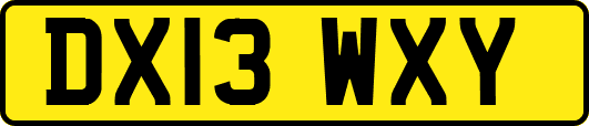 DX13WXY