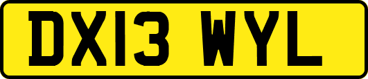 DX13WYL
