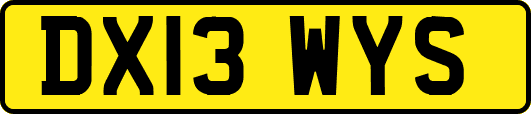 DX13WYS