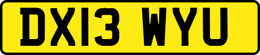 DX13WYU