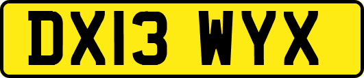 DX13WYX