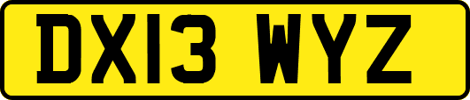 DX13WYZ