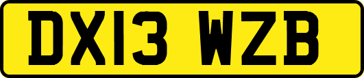 DX13WZB