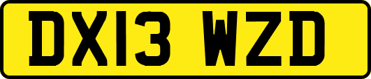 DX13WZD