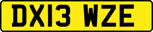 DX13WZE