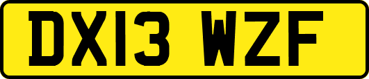 DX13WZF