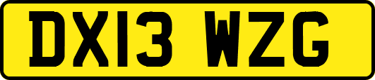 DX13WZG