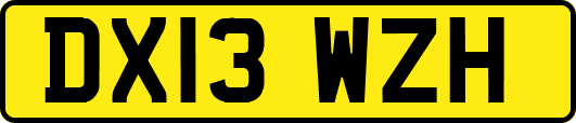 DX13WZH