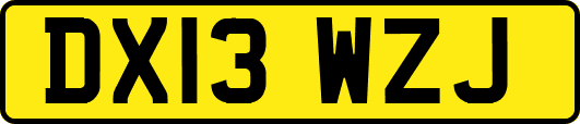DX13WZJ