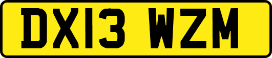 DX13WZM