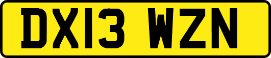 DX13WZN