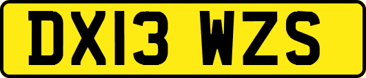 DX13WZS