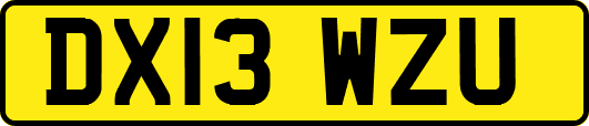DX13WZU