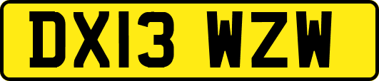 DX13WZW