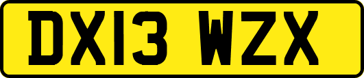 DX13WZX