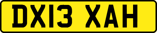DX13XAH
