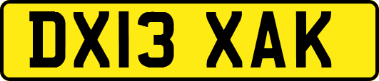 DX13XAK