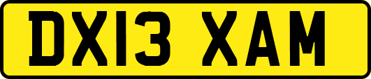 DX13XAM