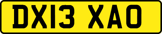 DX13XAO