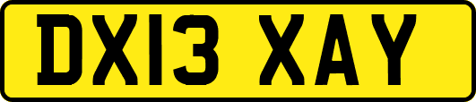 DX13XAY