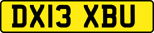 DX13XBU
